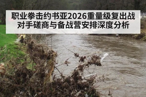 职业拳击约书亚2026重量级复出战对手磋商与备战营安排深度分析